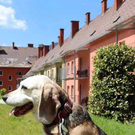 Apartamento Pfaffenstein.14